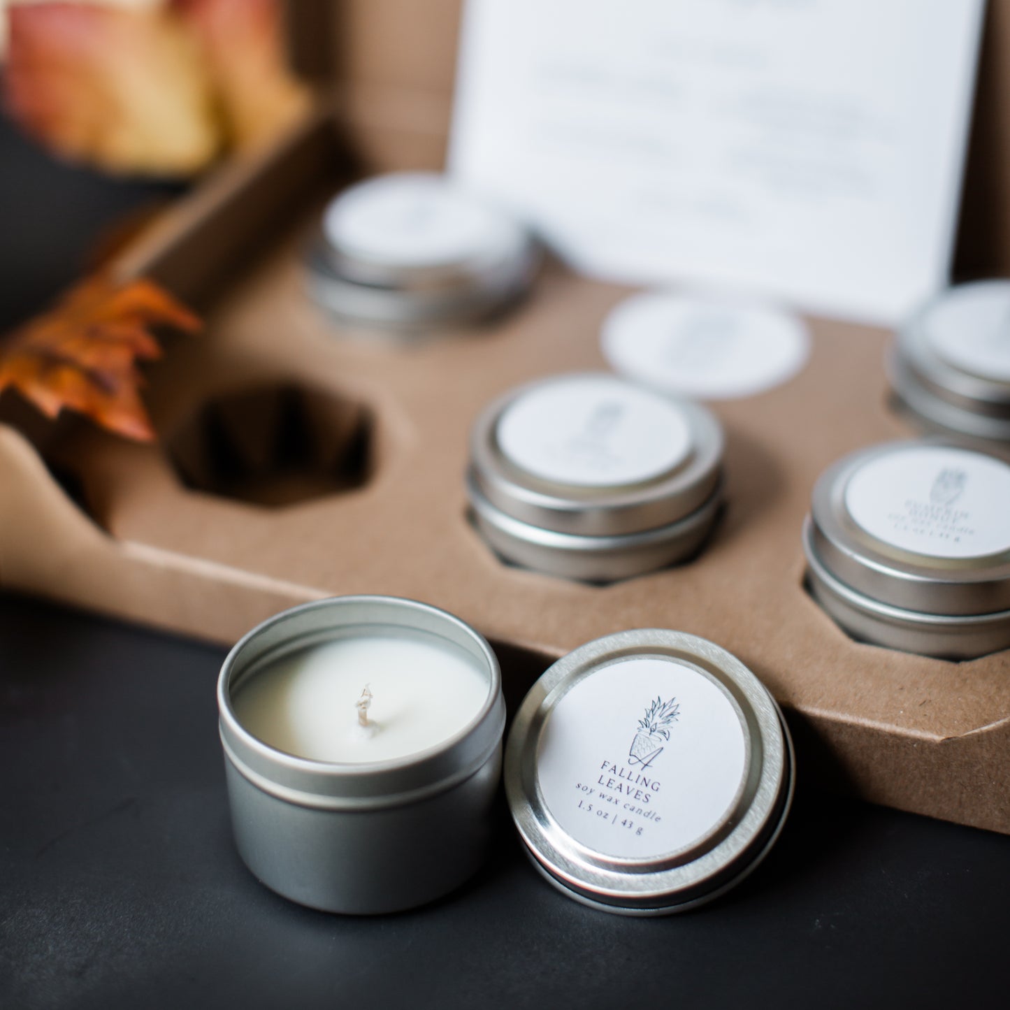 Autumn Sample Kit