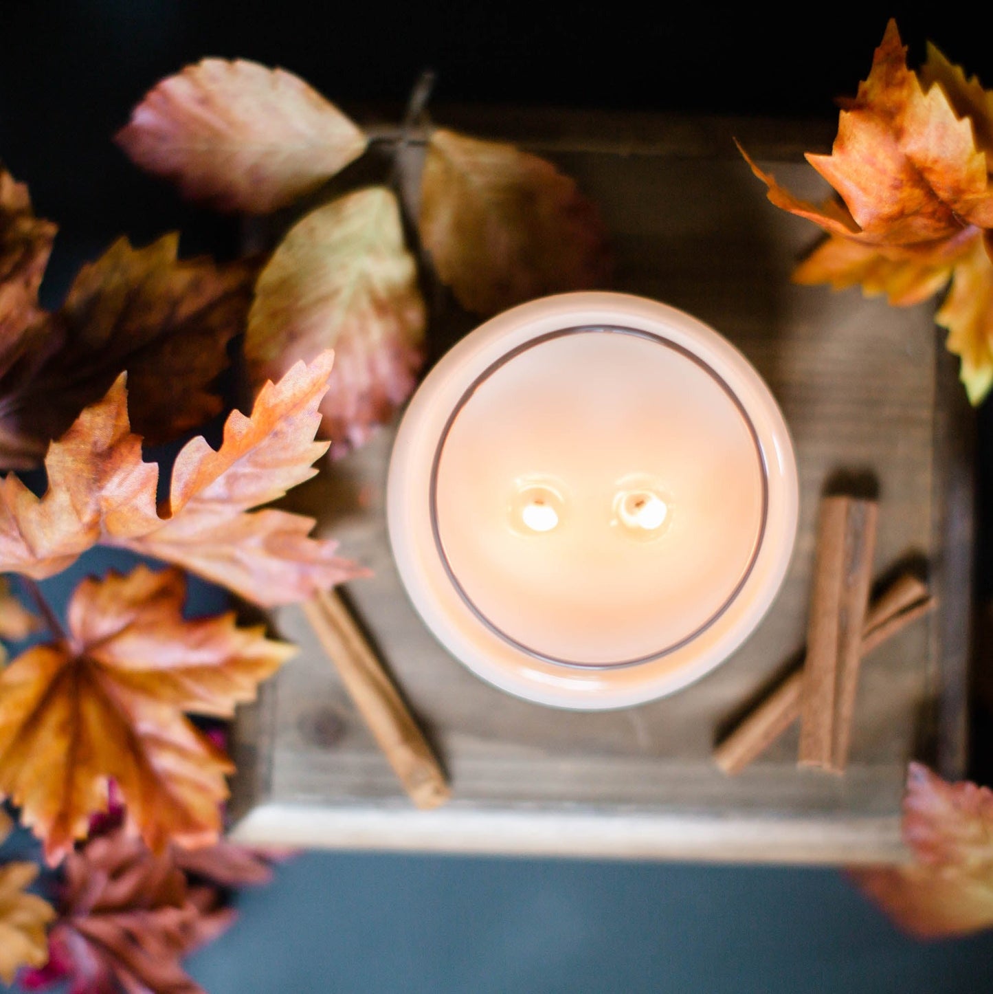Falling Leaves | 10 oz. Soy Wax Apothecary Candle